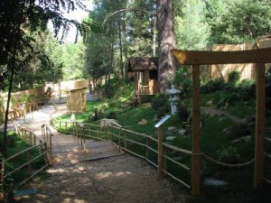 post-21666-0-71531500-1312832903_thumb